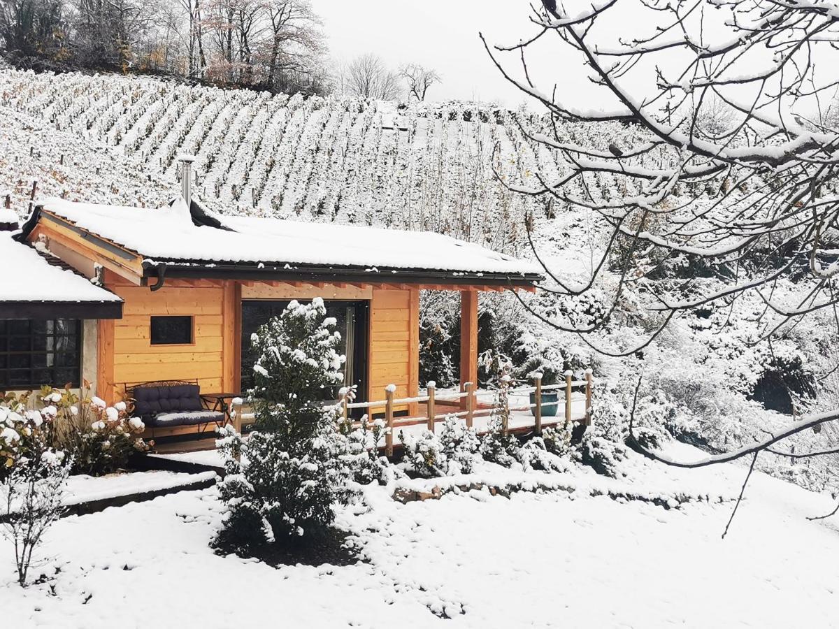 Bed and Breakfast L'Etang De La Tourne Les Marches Exterior foto